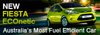 Test Drive the New Fiesta ECOnetic today!