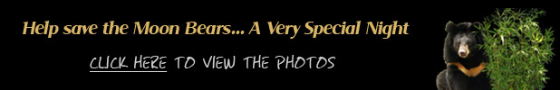 Click here to view the photos