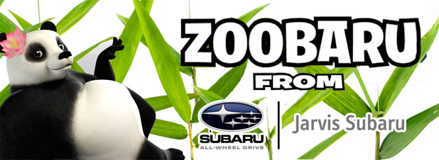 Zoobaru