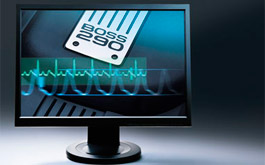 Boss 290