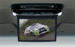 Alpine rear DVD system
