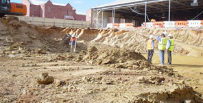 Basement floor level #2
