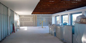 Lining the Walls