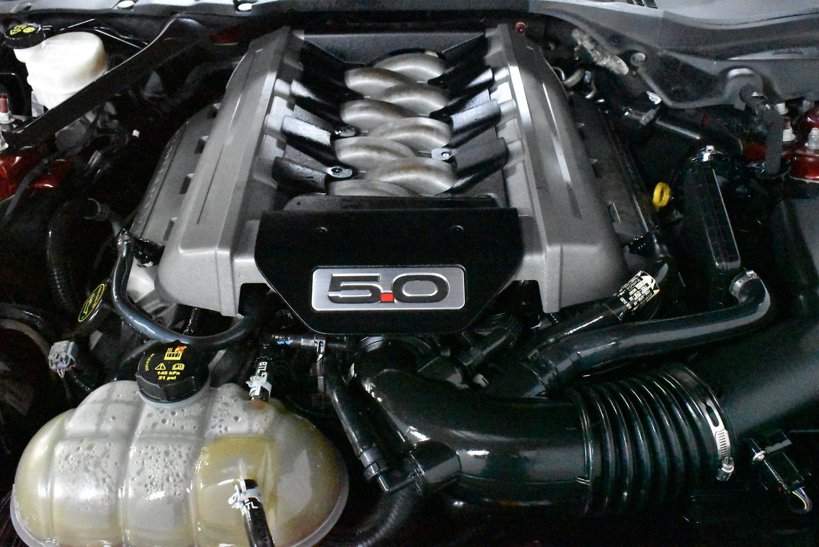 2015 Ford Mustang GT — photo 17
