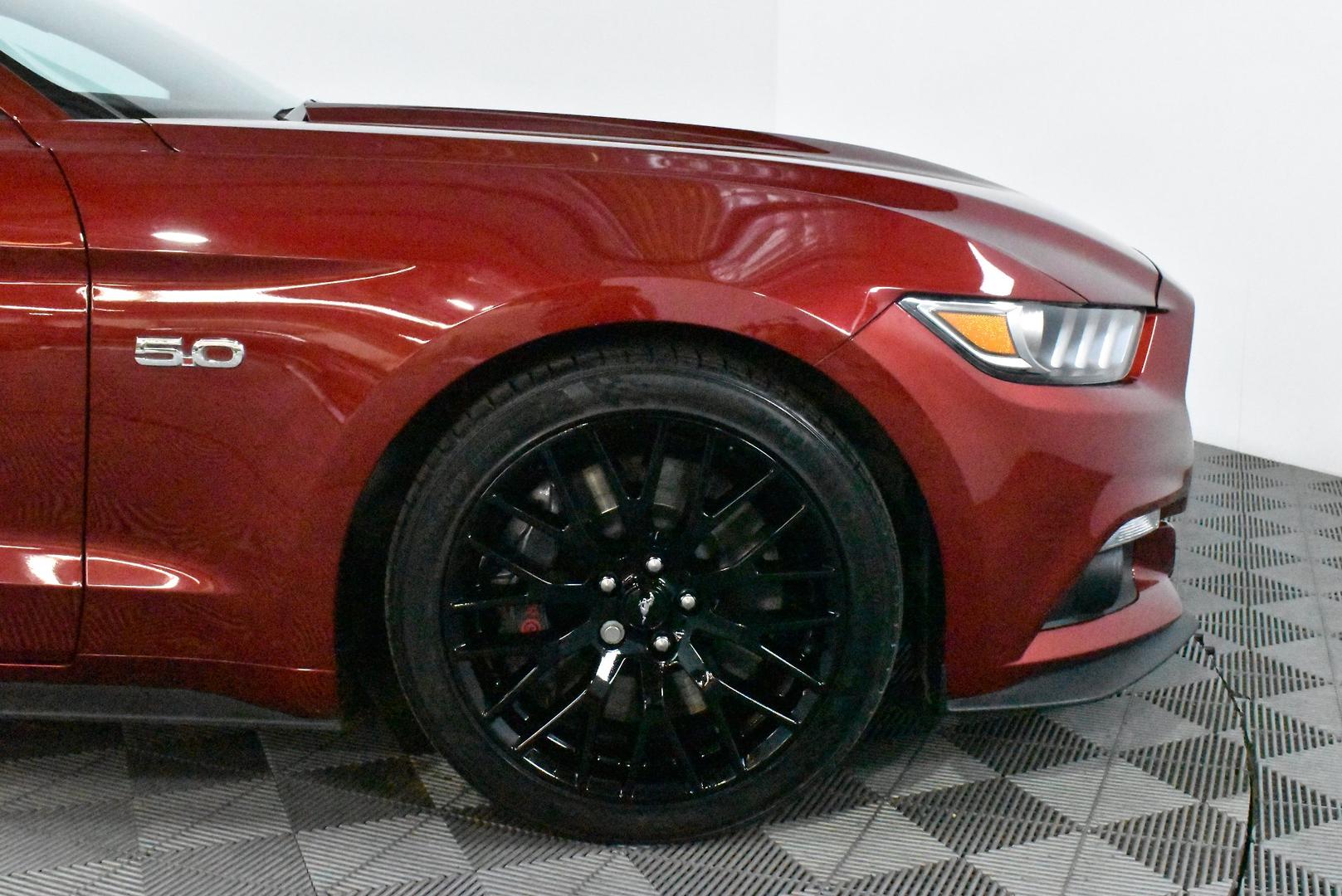 2015 Ford Mustang GT — photo 18