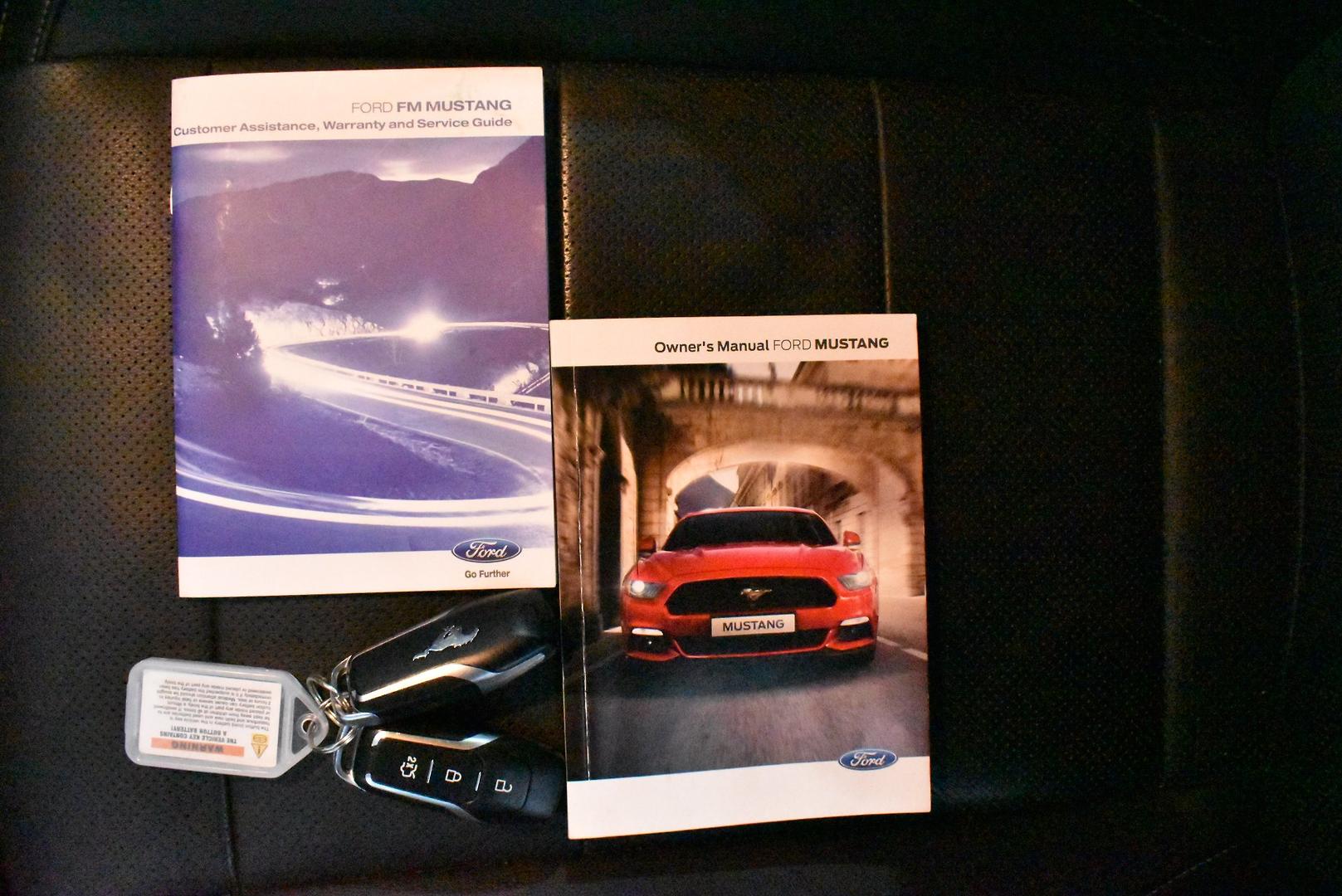 2015 Ford Mustang GT — photo 26