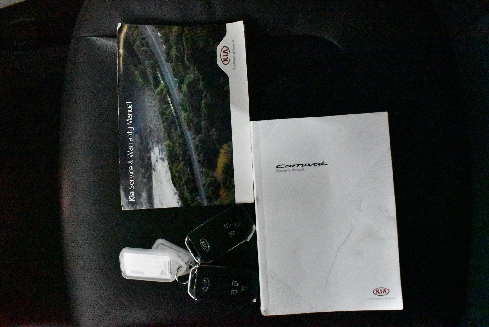 2020 Kia Carnival Platinum — photo 26