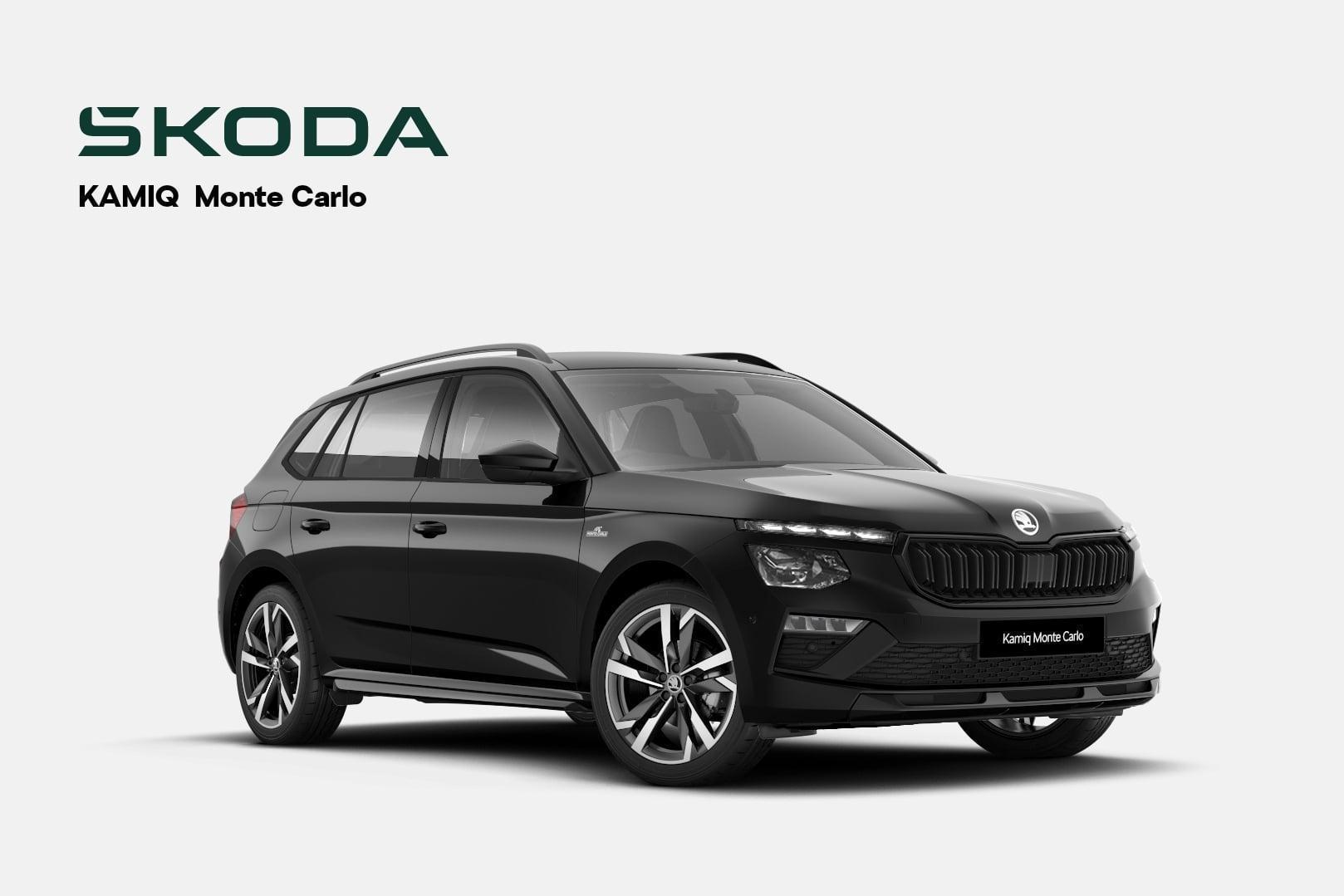 2025 SKODA Kamiq 110TSI Monte Carlo — photo 12