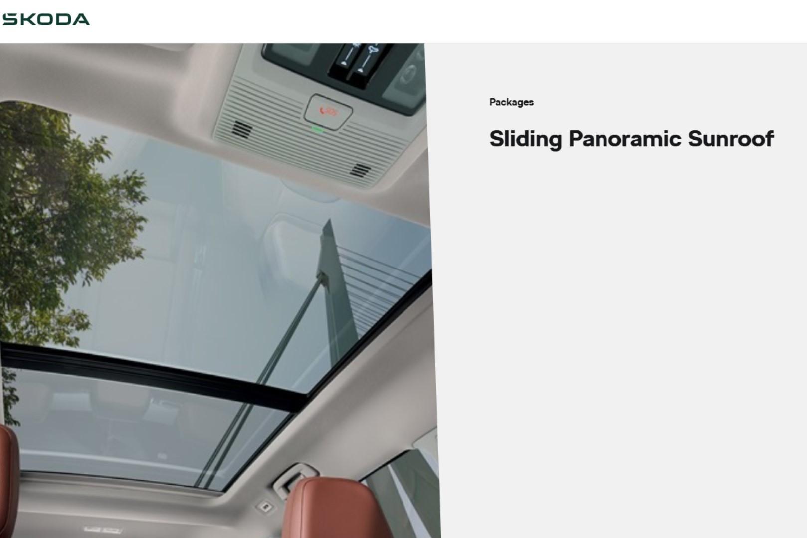 2025 SKODA Kodiaq RS — photo 8