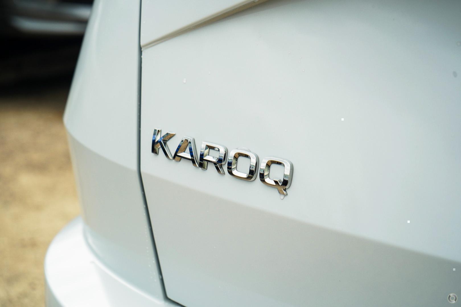 2026 SKODA Karoq 110TSI Select — photo 9