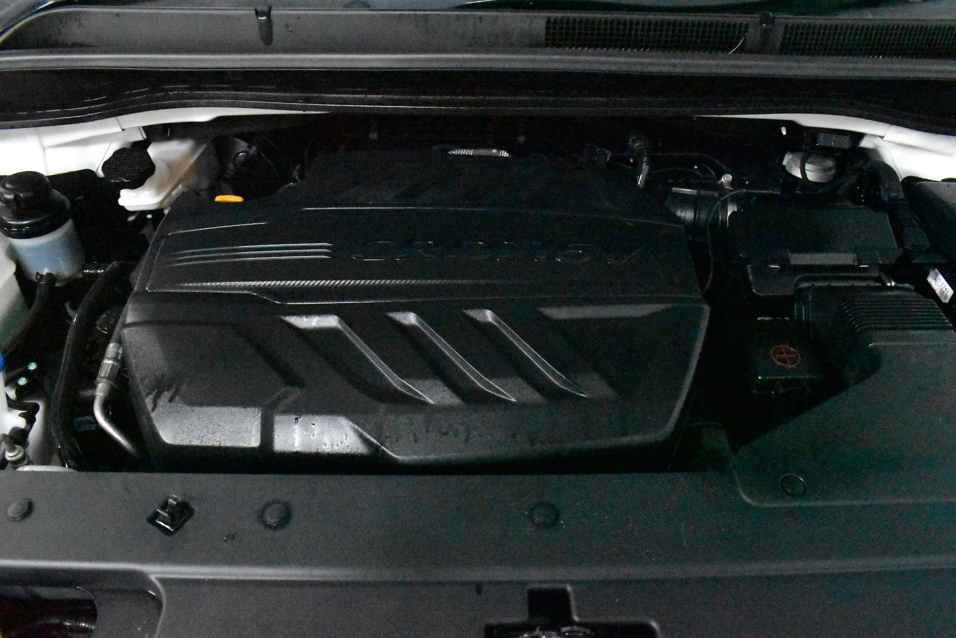 2019 Kia Carnival Platinum — photo 17